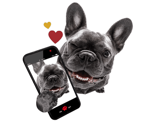 Bring your own device